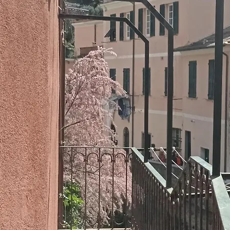 Appartement Fontantica Di